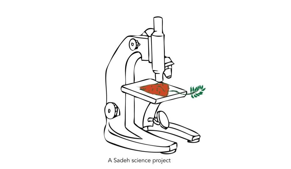 sadeh-science-project