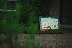 A sign that says "welcome to sadeh" with an orange carrot painted underneath sitting at the gravel entrance to Sadeh in our parking lot